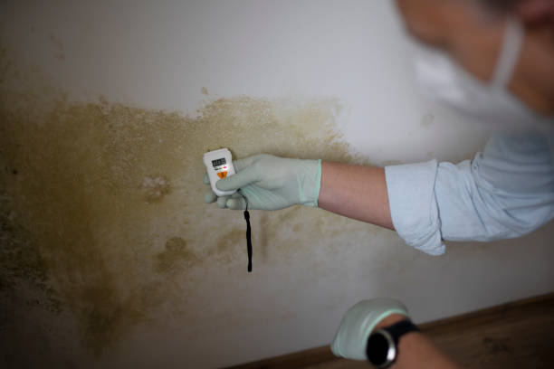 Dupont, PA Mold Removal Company
