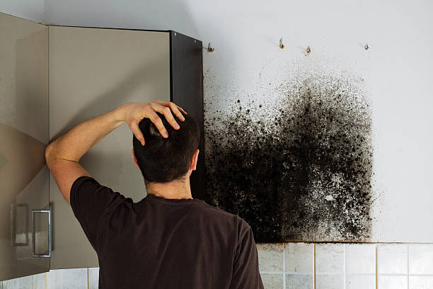 Best Emergency Mold Removal  in Dupont, PA