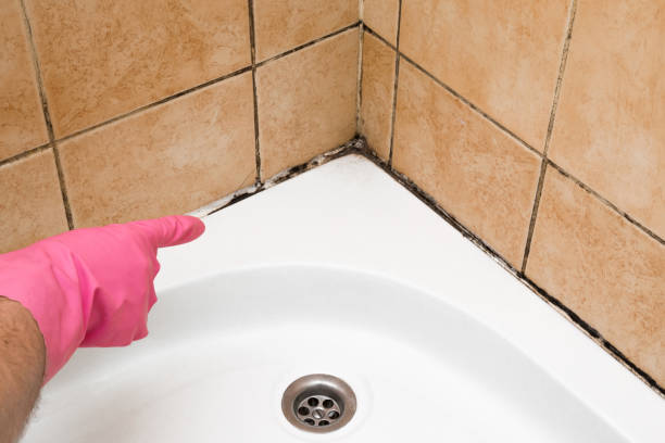 Best Mold Testing  in Dupont, PA